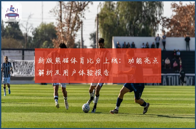 新版熊猫体育比分上线：功能亮点解析及用户体验报告