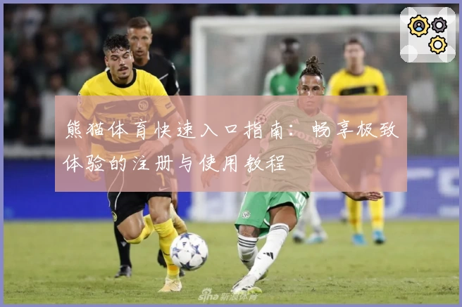 熊猫体育快速入口指南：畅享极致体验的注册与使用教程