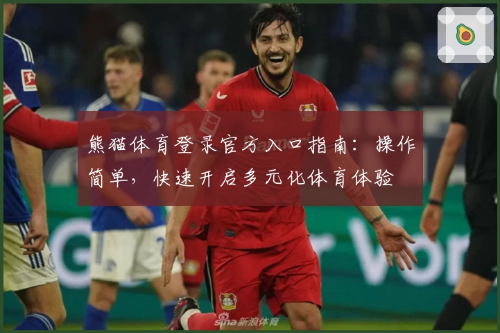 熊猫体育登录官方入口指南：操作简单，快速开启多元化体育体验