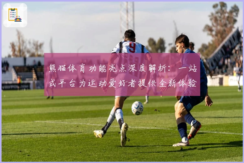 熊猫体育功能亮点深度解析：一站式平台为运动爱好者提供全新体验