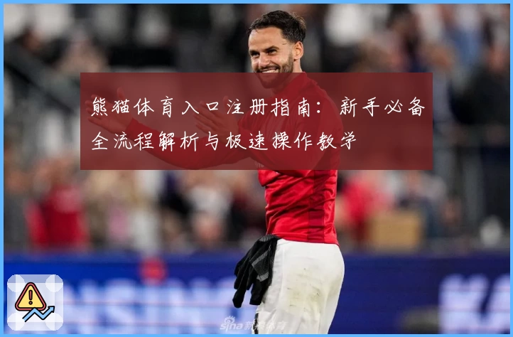 熊猫体育入口注册指南:新手必备全流程解析与极速操作教学