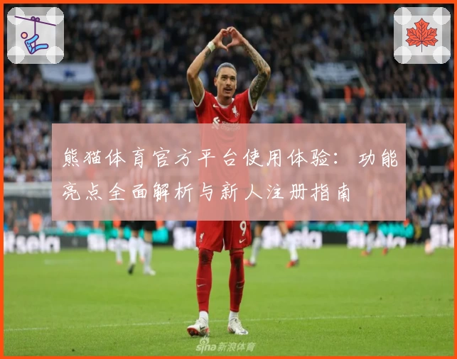 熊猫体育官方平台使用体验：功能亮点全面解析与新人注册指南