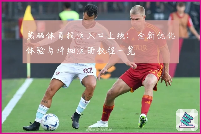 熊猫体育投注入口上线：全新优化体验与详细注册教程一览