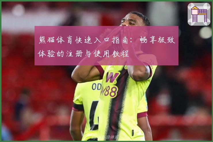 熊猫体育快速入口指南：畅享极致体验的注册与使用教程