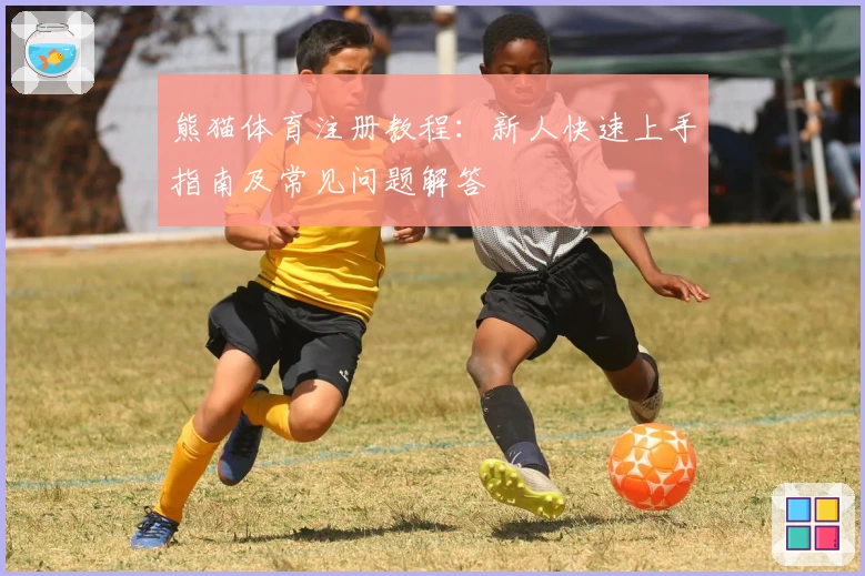 熊猫体育注册教程：新人快速上手指南及常见问题解答