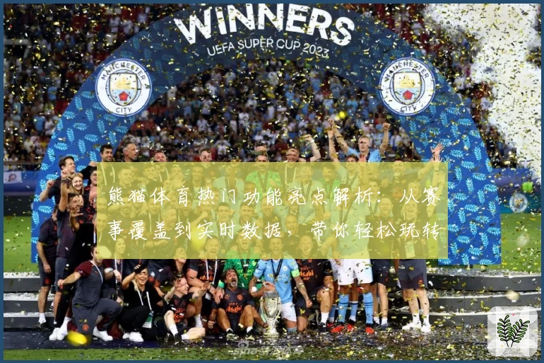 熊猫体育热门功能亮点解析：从赛事覆盖到实时数据，带你轻松玩转平台