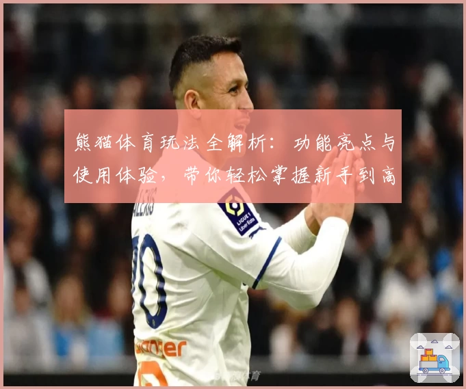 熊猫体育玩法全解析:功能亮点与使用体验,带你轻松掌握新手到高手的秘诀