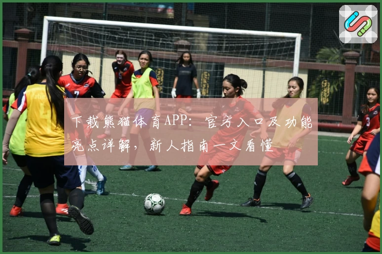 下载熊猫体育APP：官方入口及功能亮点详解，新人指南一文看懂